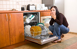 Filthy Smelly Dishwasher